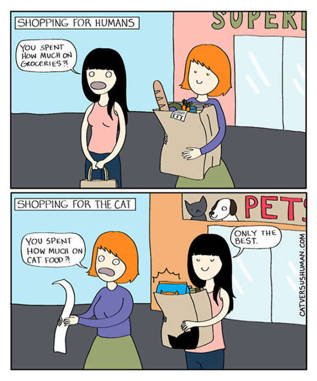 Life Is Never Boring When You Live With A Cat (50 pics)