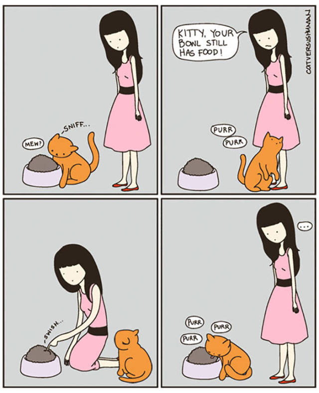 Life Is Never Boring When You Live With A Cat (50 pics)