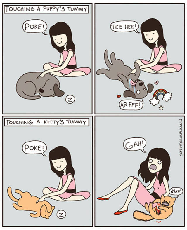 Life Is Never Boring When You Live With A Cat (50 pics)