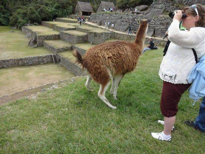 Acid Picdump (96 pics)