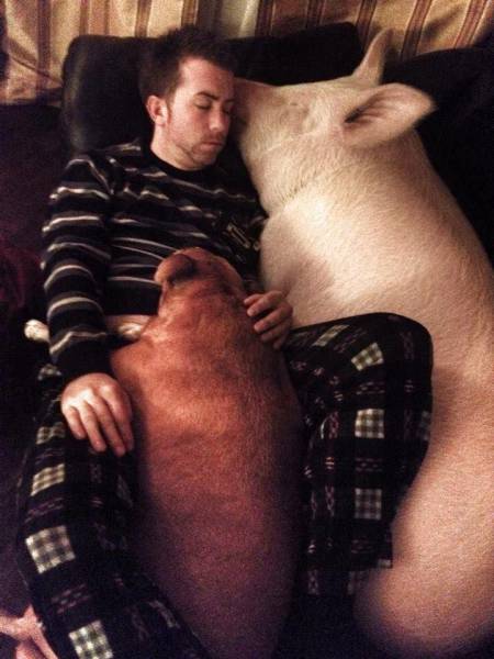 Acid Picdump (96 pics)