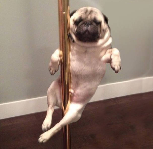 Acid Picdump (96 pics)