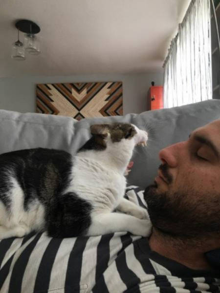 There Couldn’t Possibly Have Been A Better Moment To Take These Photos (37 pics)