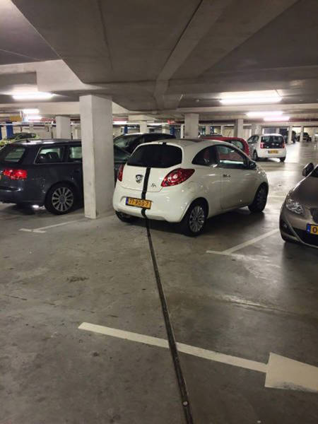 There Couldn’t Possibly Have Been A Better Moment To Take These Photos (37 pics)