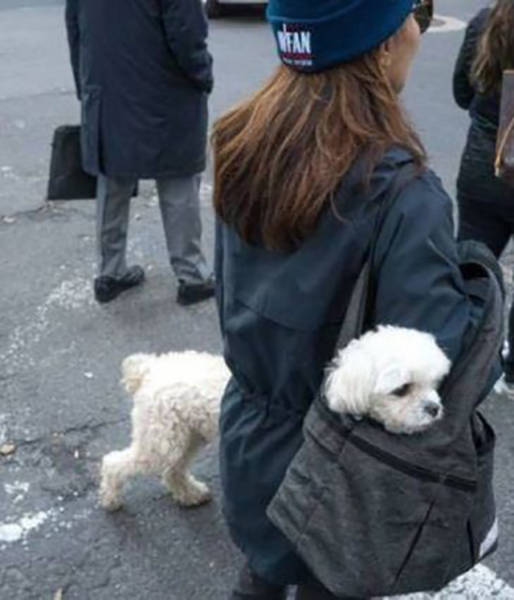There Couldn’t Possibly Have Been A Better Moment To Take These Photos (37 pics)