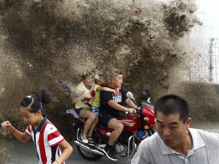 There Couldn’t Possibly Have Been A Better Moment To Take These Photos (37 pics)