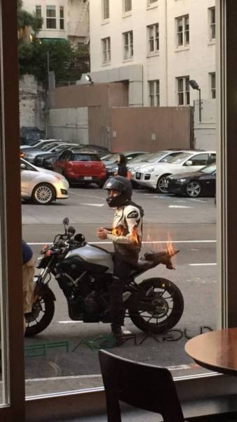 There Couldn’t Possibly Have Been A Better Moment To Take These Photos (37 pics)