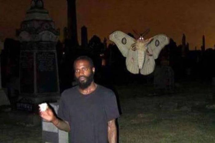 There Couldn’t Possibly Have Been A Better Moment To Take These Photos (37 pics)