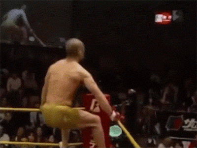 Fail Gifs That Will Remind You Not Everyone Is Good At Fighting (15 gifs)