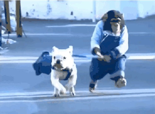 Acid Gifdump, January 19, 2017 (25 gifs)