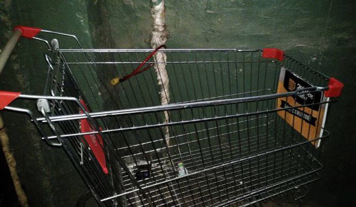 Genius Ideas That Each And Every One Of Us Can Appreciate (41 pics)