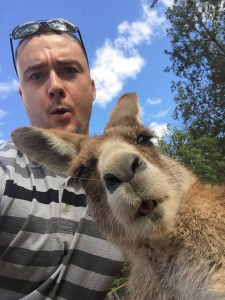 It Looks Like Animals Have Caught The Selfie Virus Too (48 pics)