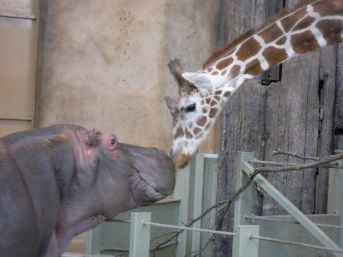 Acid Picdump (104 pics)