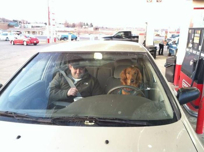 Acid Picdump (104 pics)