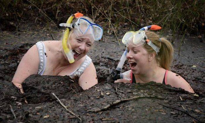 Acid Picdump (104 pics)