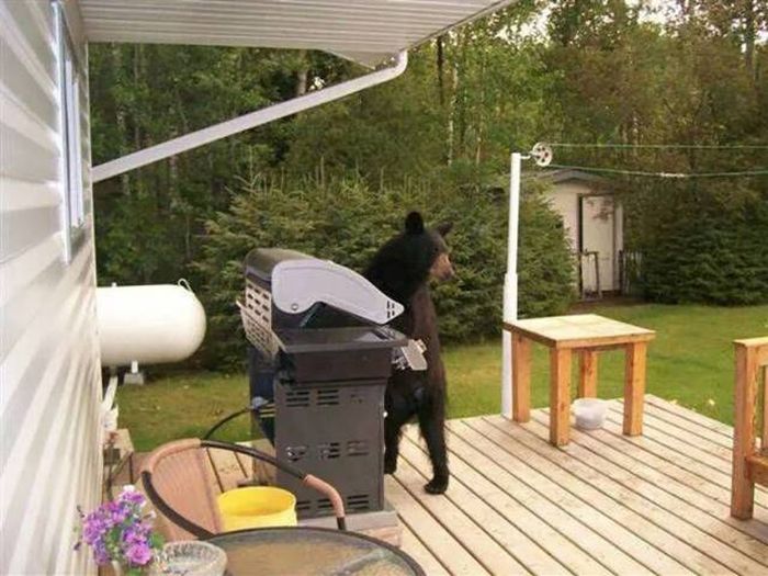Acid Picdump (104 pics)