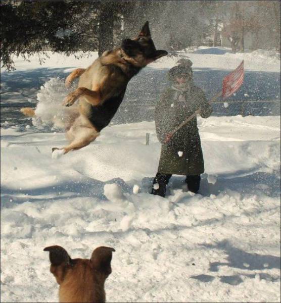 Acid Picdump (104 pics)