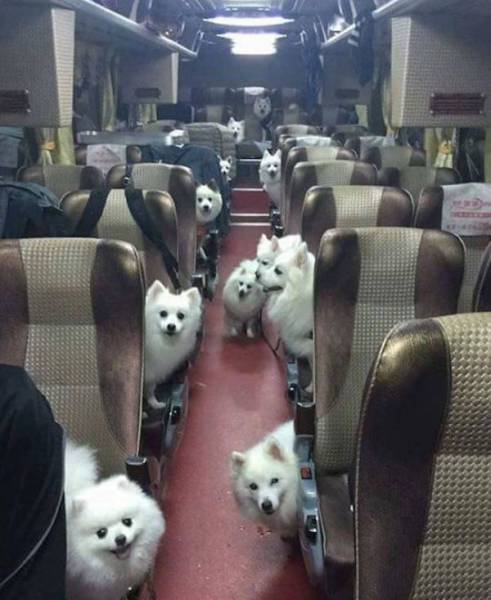 Acid Picdump (104 pics)
