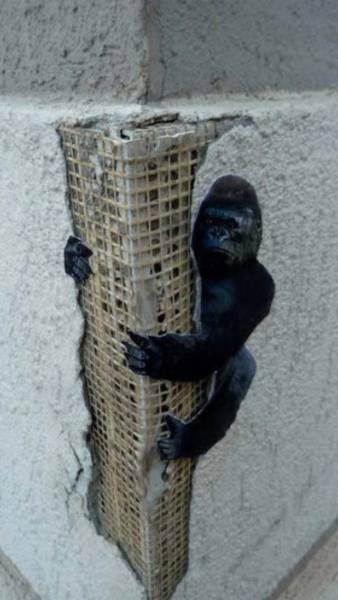 Acid Picdump (104 pics)