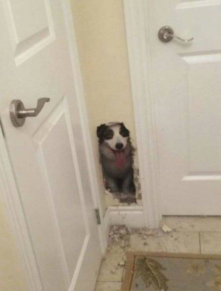 Acid Picdump (104 pics)