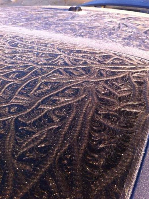 You Can't Deny The Beauty Of These Frozen Cars (50 pics)