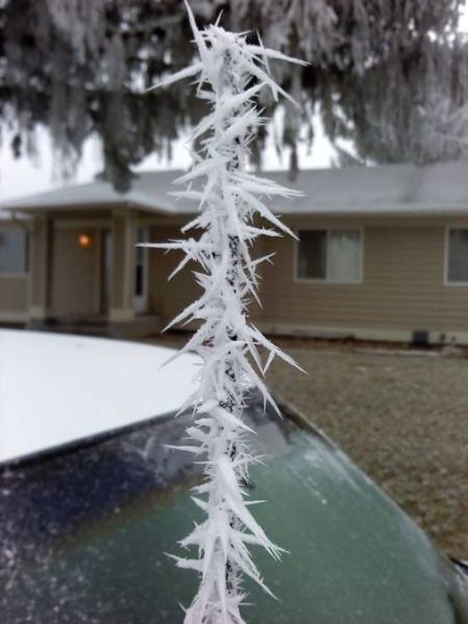 You Can't Deny The Beauty Of These Frozen Cars (50 pics)