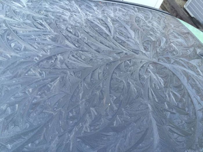 You Can't Deny The Beauty Of These Frozen Cars (50 pics)