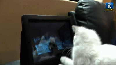 Acid Gifdump, January 23, 2017 (25 gifs)