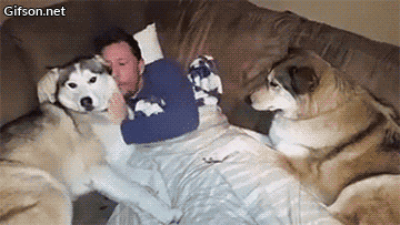 Acid Gifdump, January 23, 2017 (25 gifs)