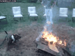 Acid Gifdump, January 23, 2017 (25 gifs)