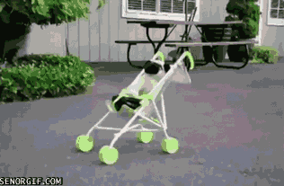 Acid Gifdump, January 23, 2017 (25 gifs)