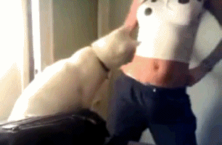 Acid Gifdump, January 23, 2017 (25 gifs)
