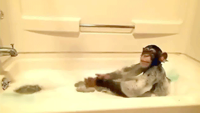 Acid Gifdump, January 23, 2017 (25 gifs)