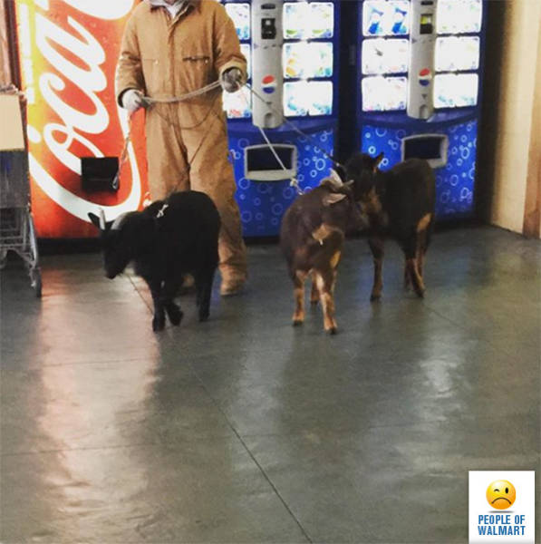 People of Walmart. Part 34 (43 pics)