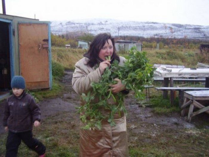 Russians Enjoying Life Outdoors (40 pics)