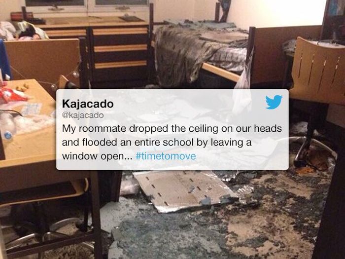 People Reveal When They Decided It Was Time To Move (16 pics)