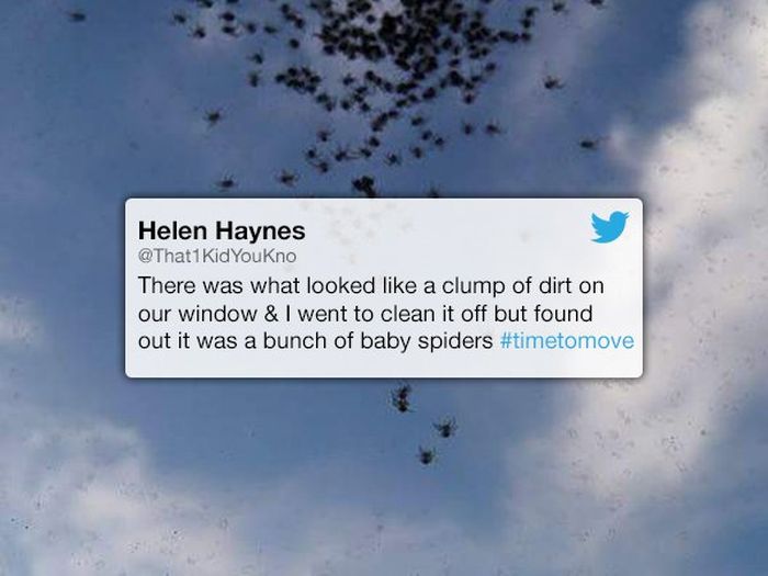 People Reveal When They Decided It Was Time To Move (16 pics)