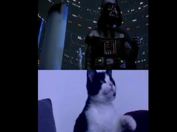 The Empire Scratches Back