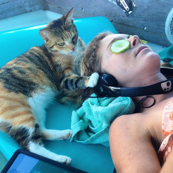 Lucky Cat Gets To Travel The World In A Boat (10 pics)