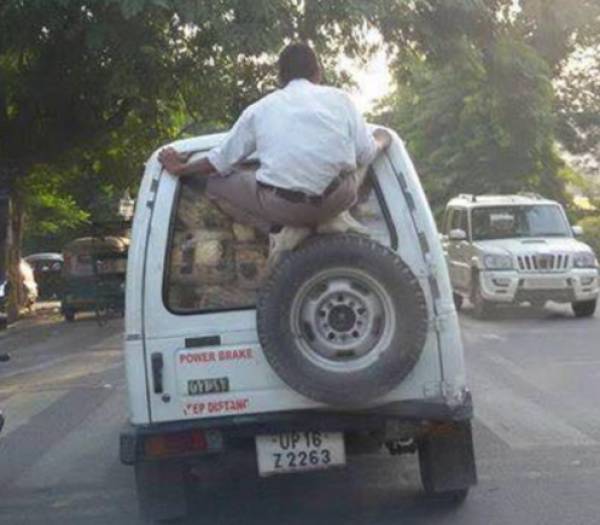 Pics That Prove India Is One Of The Wildest Places On Earth (39 pics)