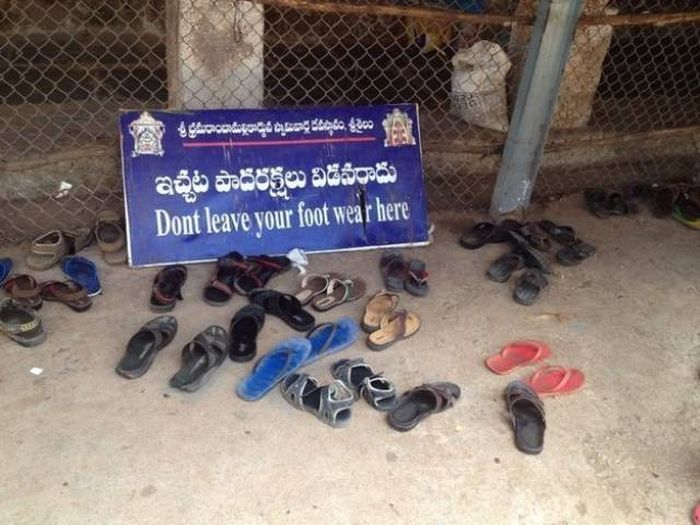 Pics That Prove India Is One Of The Wildest Places On Earth (39 pics)