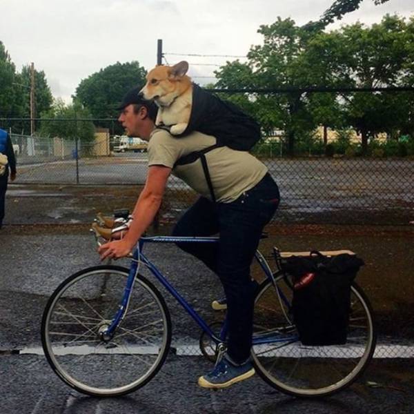 An Overdose Of Awesomeness Is Exactly What You Need Right Now (44 pics)