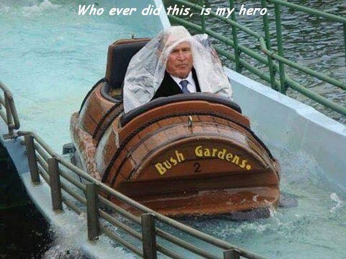 Acid Picdump (96 pics)