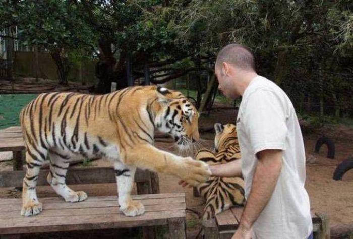 Acid Picdump (96 pics)
