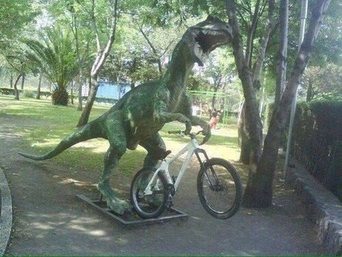 Acid Picdump (96 pics)