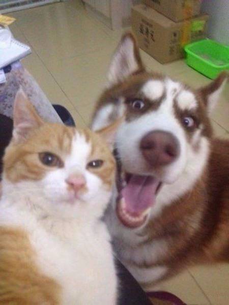 Acid Picdump (96 pics)