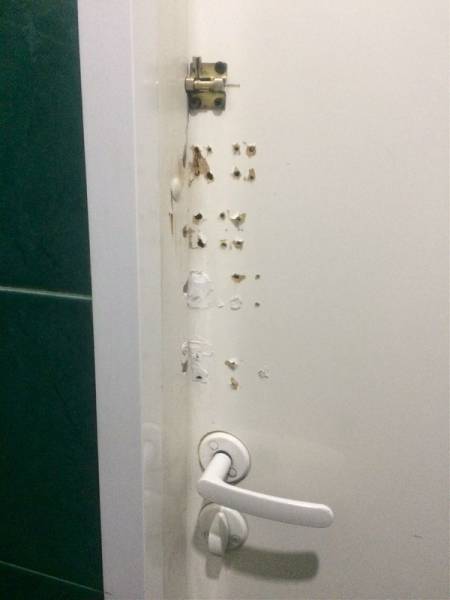 Acid Picdump (96 pics)
