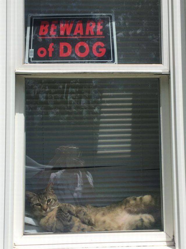 Acid Picdump (96 pics)