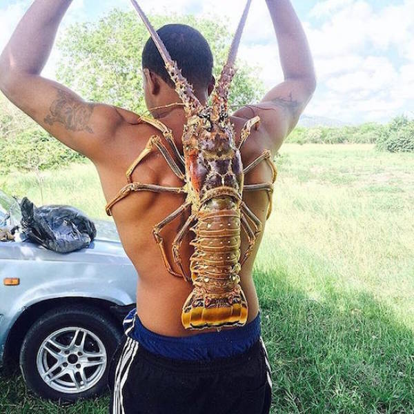 Acid Picdump (96 pics)