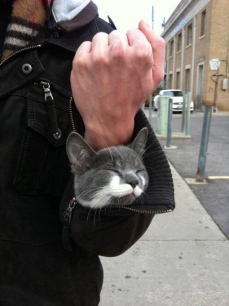 Acid Picdump (96 pics)